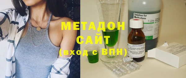 индика Алексин