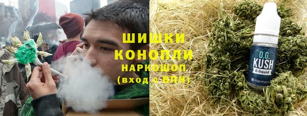 индика Алексин