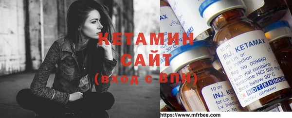 индика Алексин