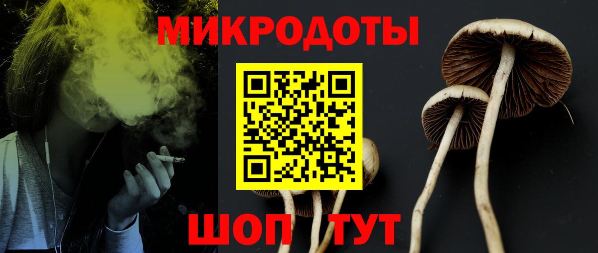 Галлюциногенные грибы прущие грибы  Вход с VPN  Лесной 